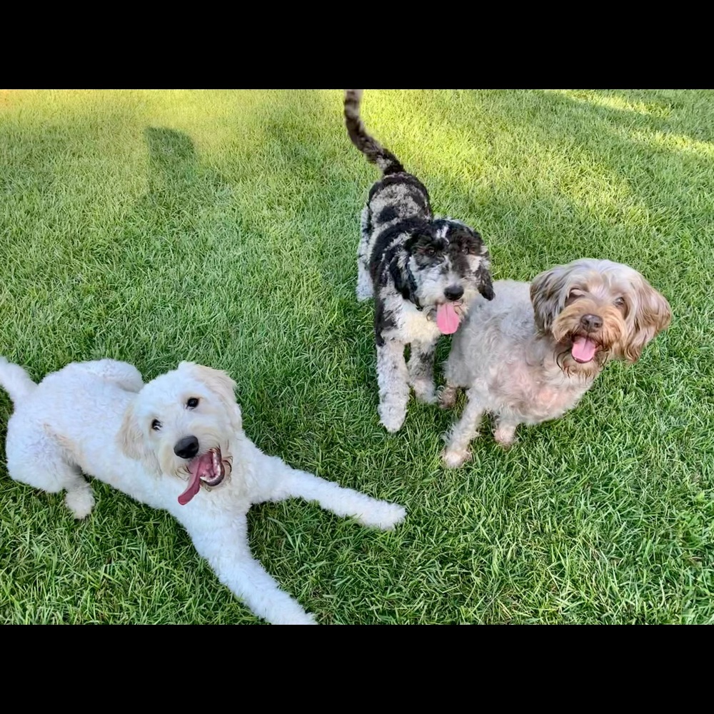 Meet your Posher, Melanie